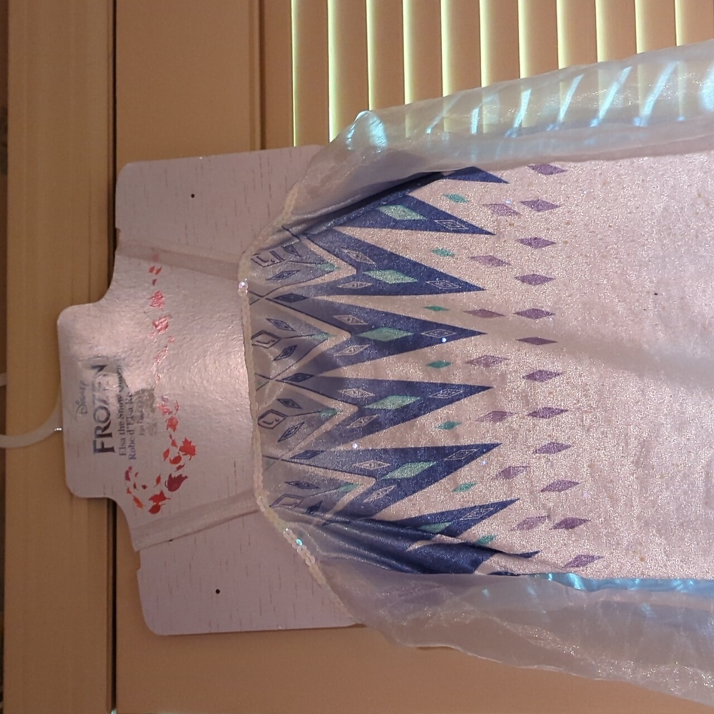 Elsa from Frozen Dress.. Perfect for Halloween!!